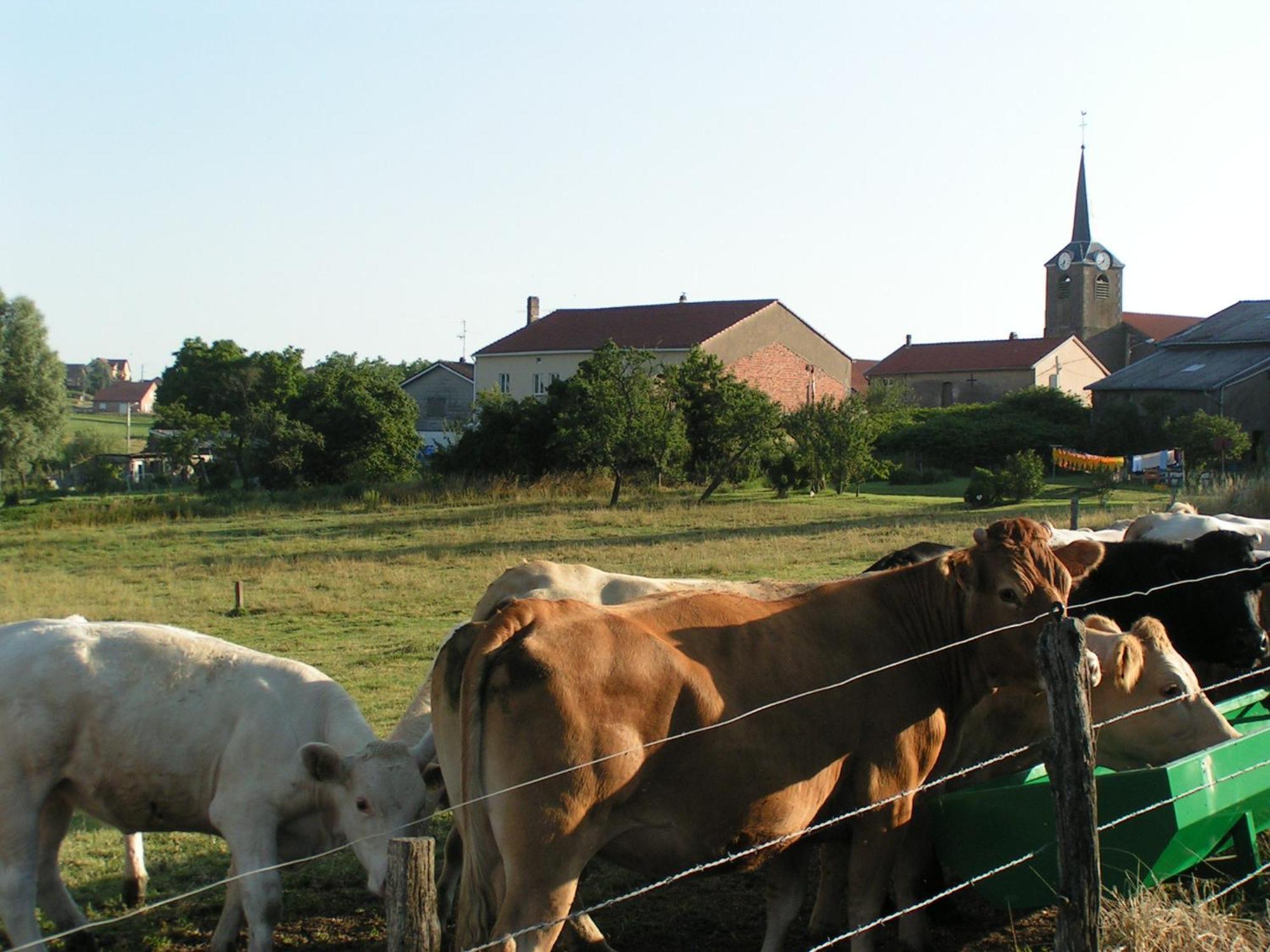 Chambres D'Hotes Au Presbytere Racrange Екстер'єр фото